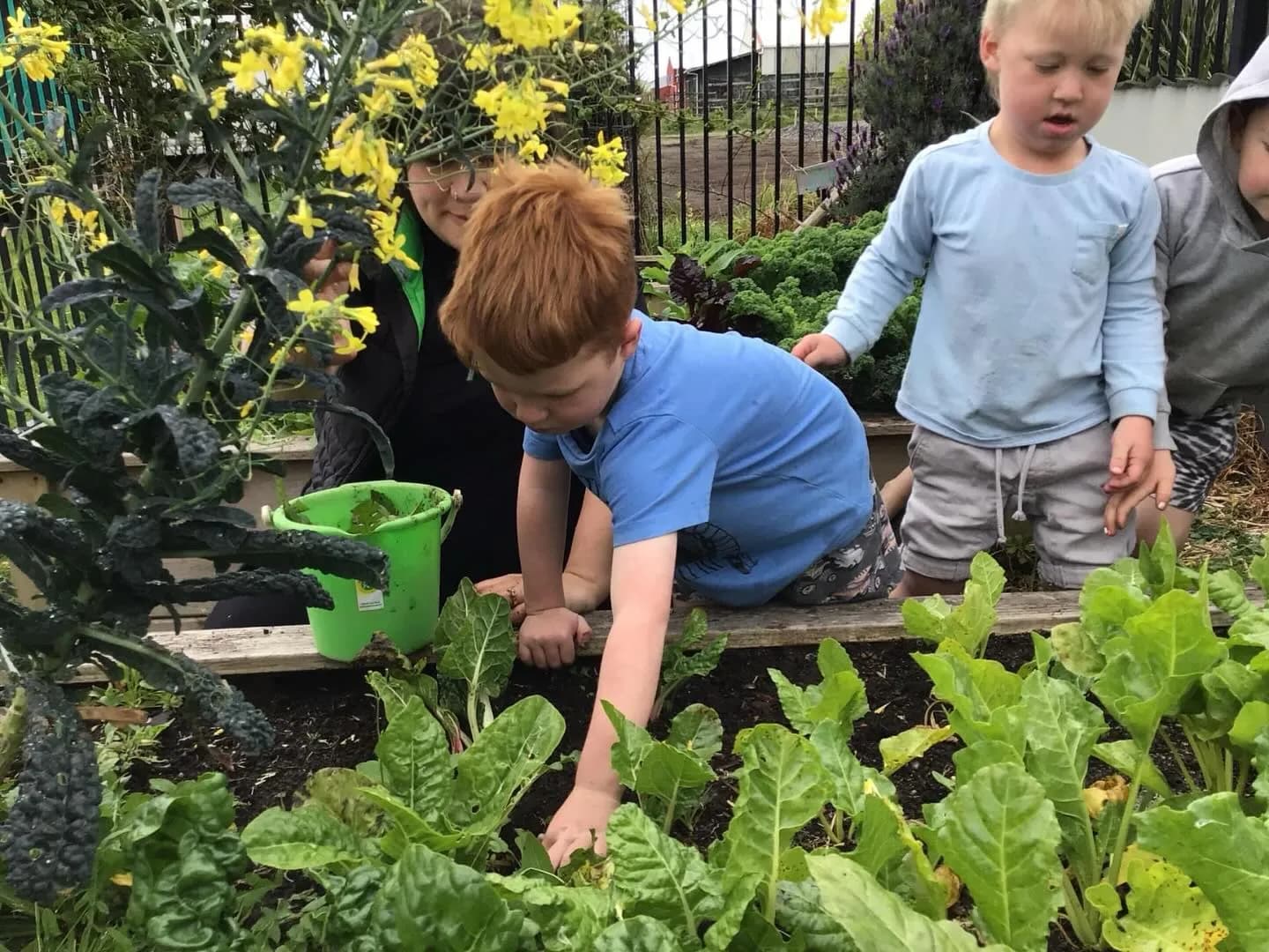 Future Kids Preschool New Plymouth