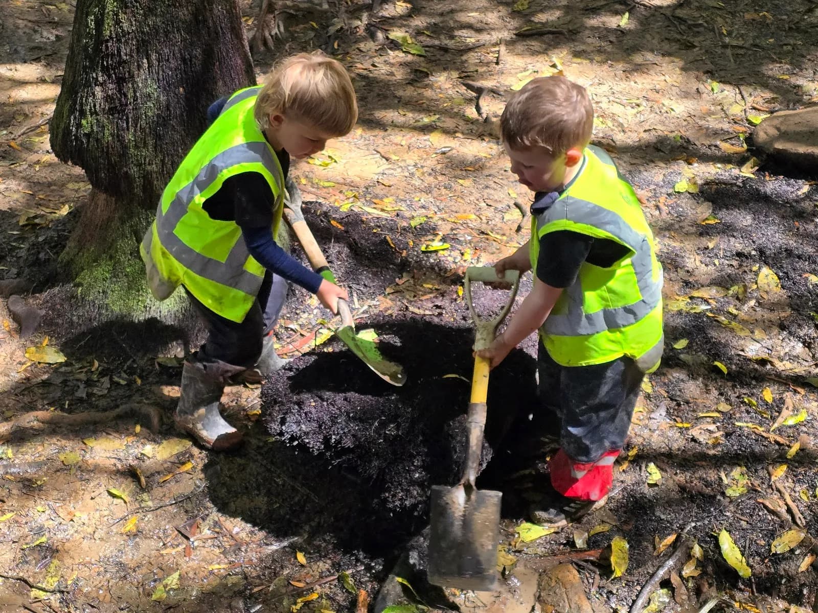 The Forest ECE Ltd
